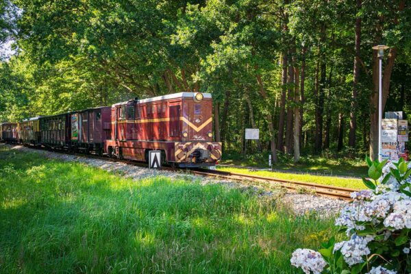 Apartament Szept Mewy Niechorze