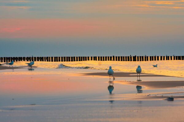 Plaża Niechorze. Zachód Słońca Niechorze