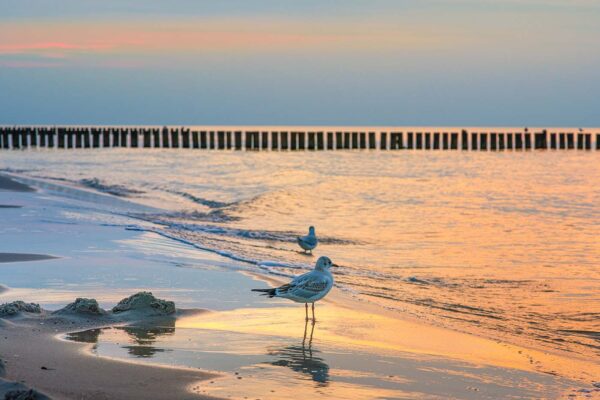 Plaża Niechorze. Zachód Słońca Niechorze